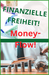 Finanzielle Freiheit! Money-Flow! Ratgeber